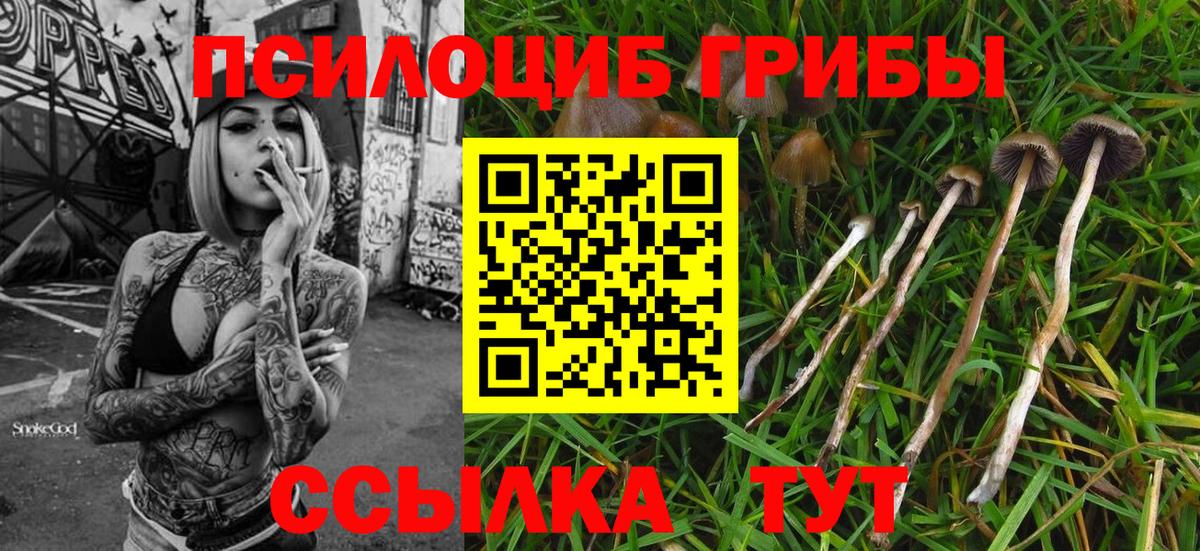 Псилоцибиновые грибы прущие грибы  Вход с VPN  Сарапул 